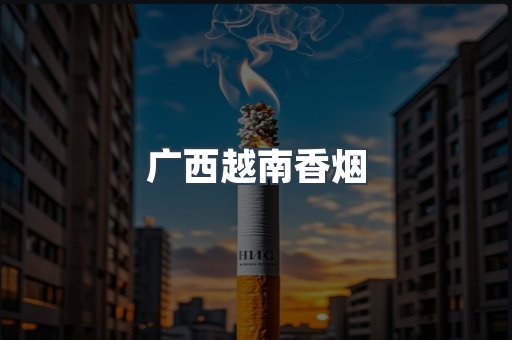 广西越南香烟